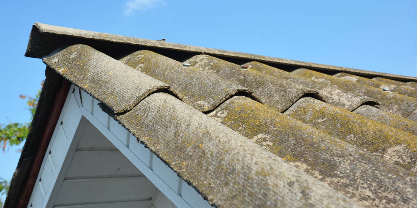 asbestos sealing paint